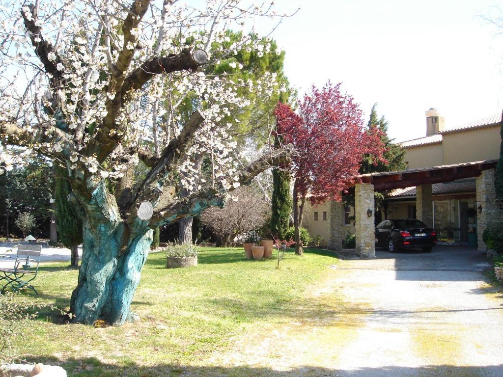 Hotel Bellerive Rasteau Bagian luar foto